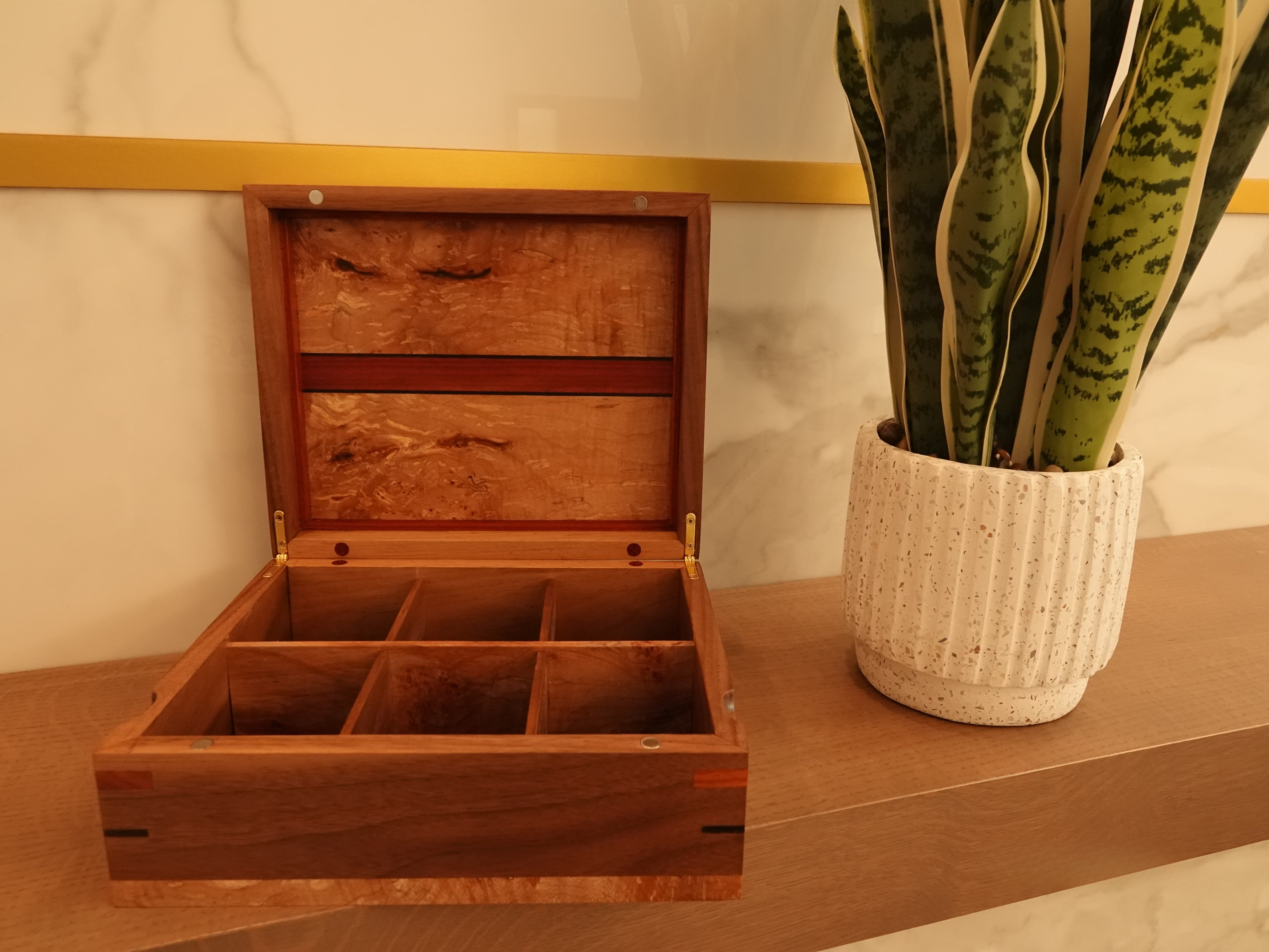 Stunning Custom Made Watch Box - LuxSense