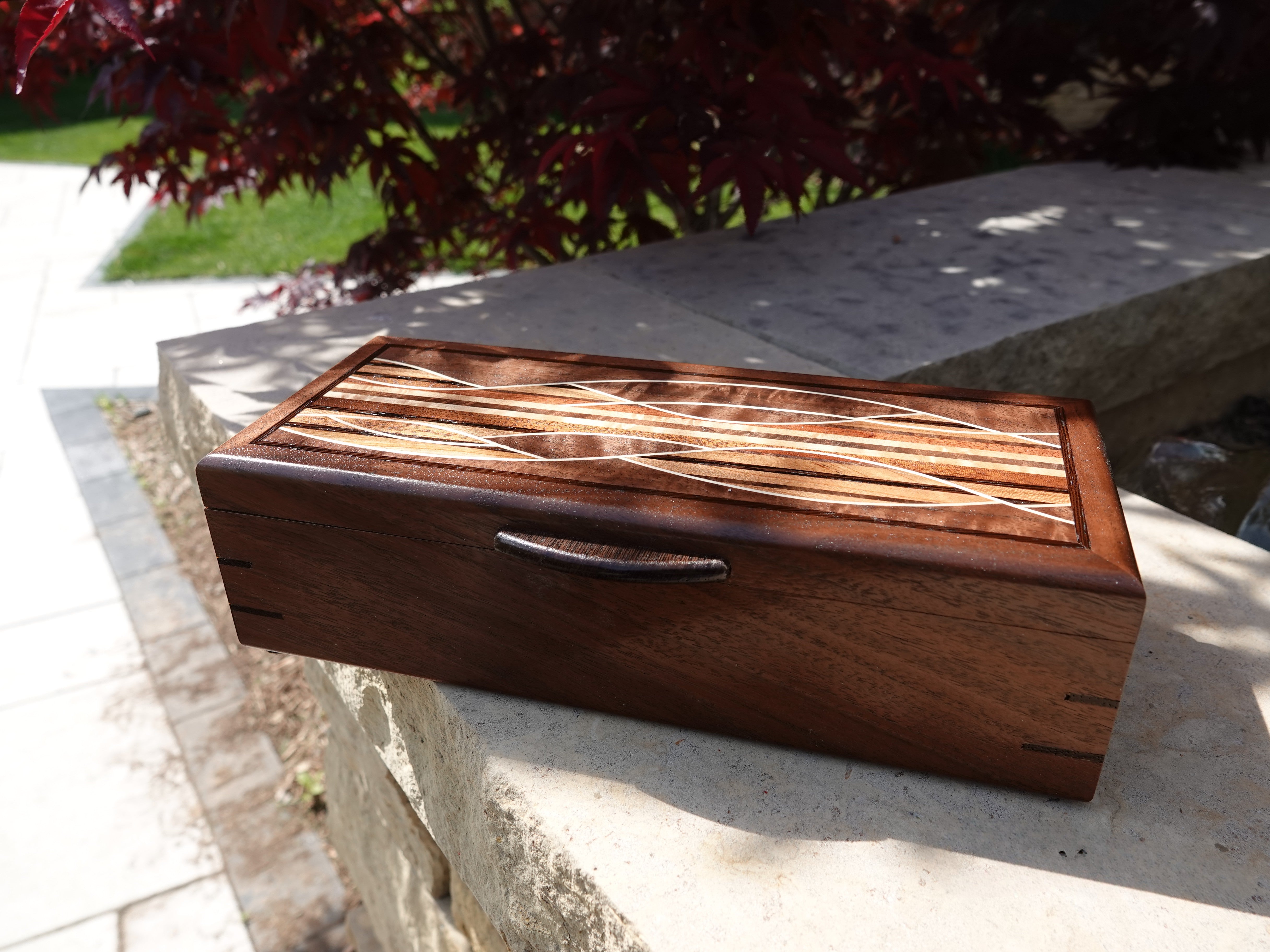 Beautiful craftsman ship on this amazing box. - LuxSense